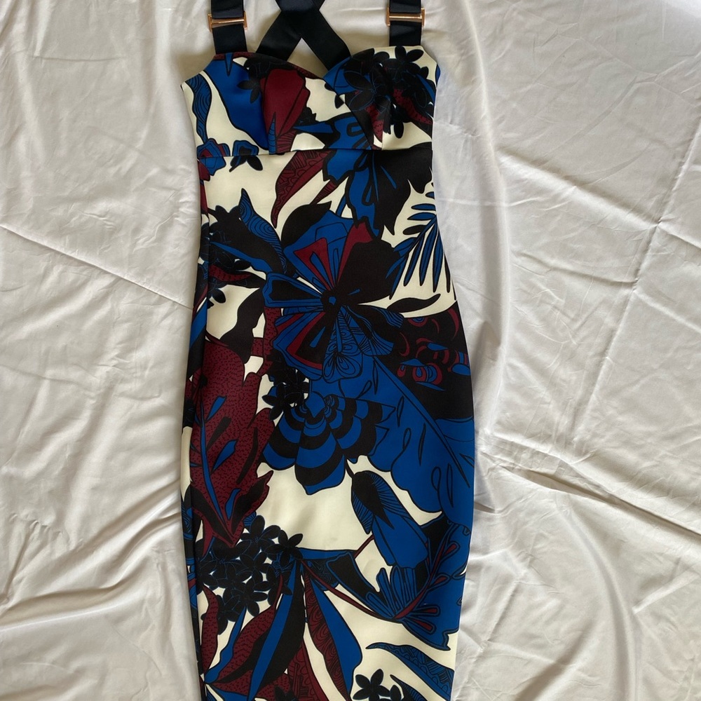 Ted Baker size 0 Midi dress with Rose Gold accents and zipper.